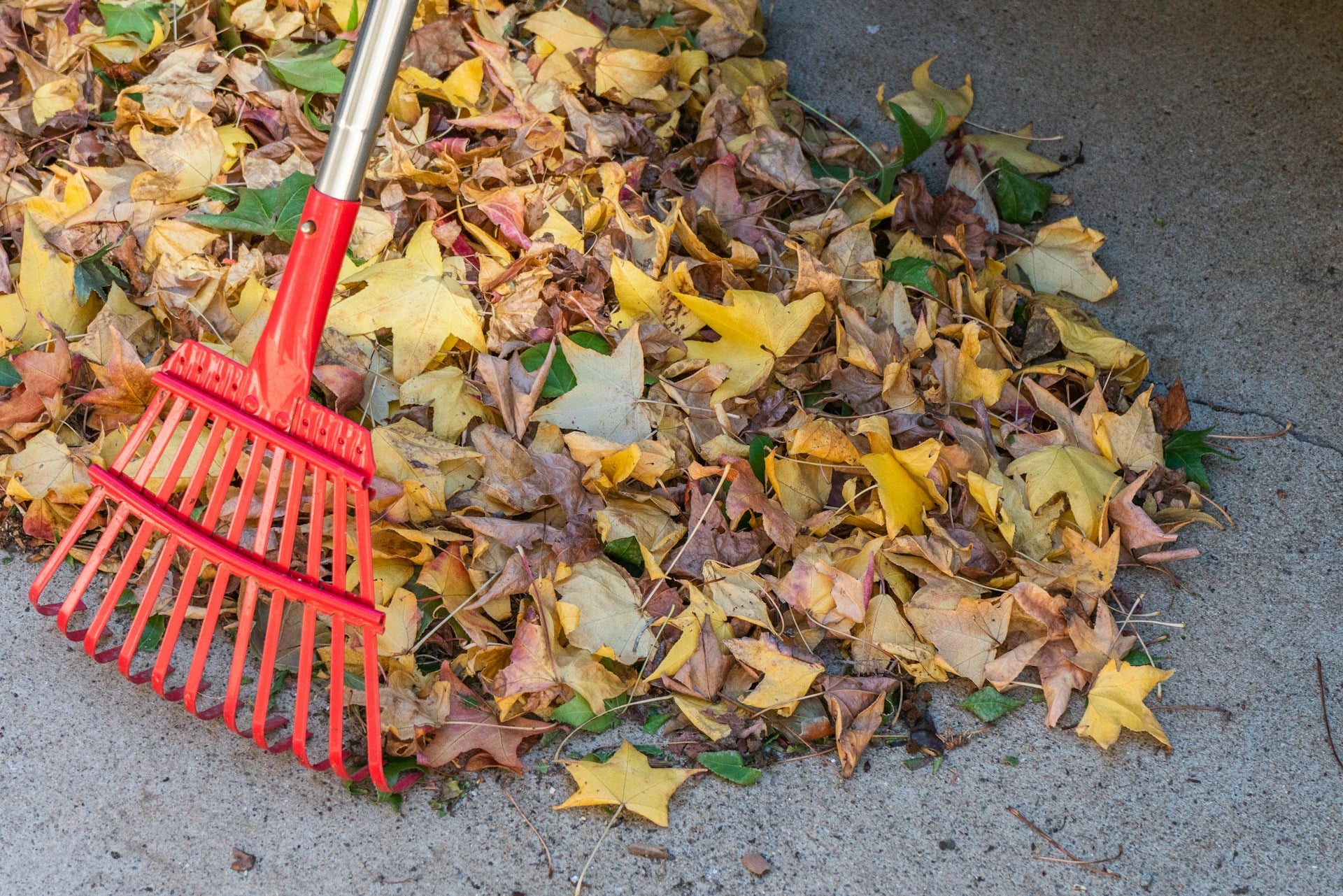 Ramassage de feuilles mortes avec un râteau