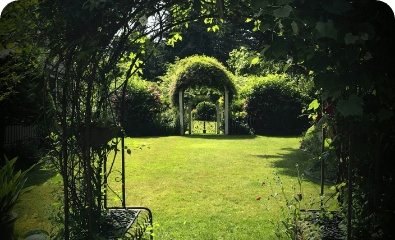 Image d'un jardin bien entretenu